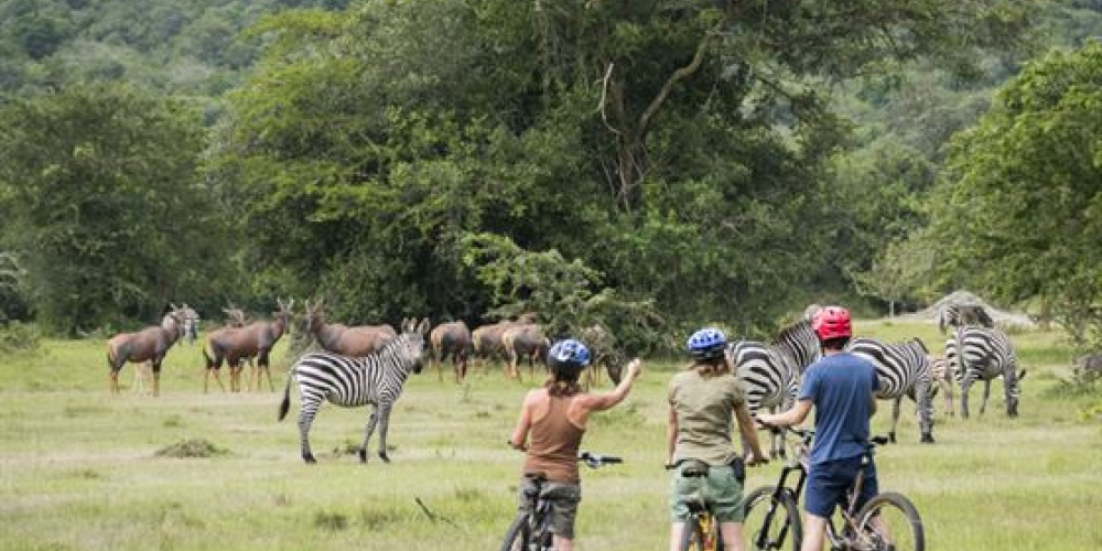 cycling tours