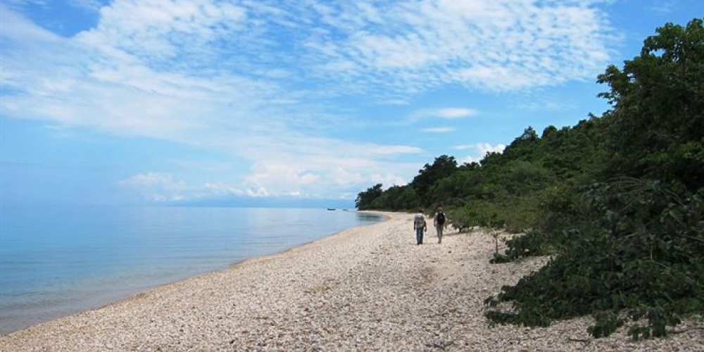 Lake Tele Expedition - Congo Travel and Tours