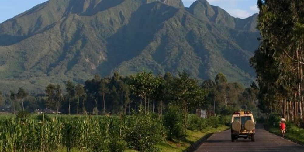 Volcanoes National Park Rwanda