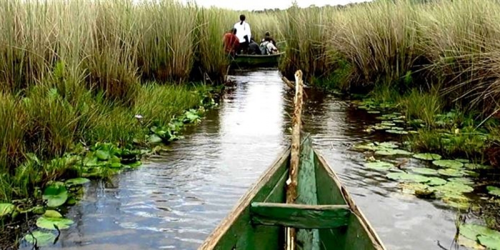 Mabamba Swamp