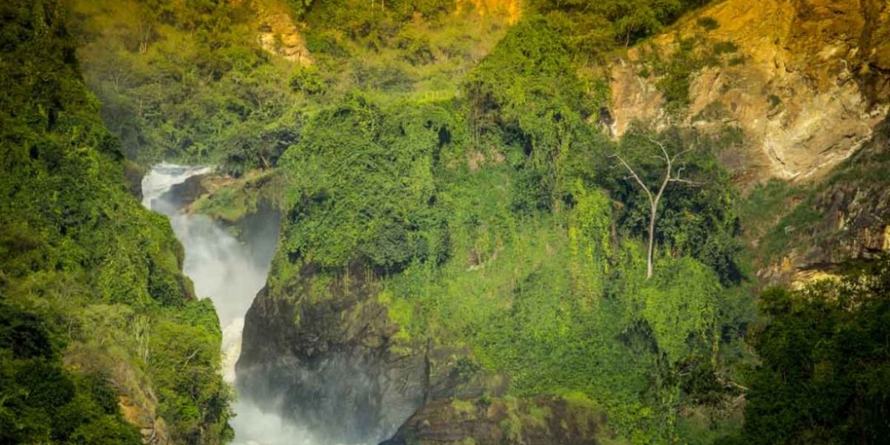 Sport Fishing in Murchison Falls National Park