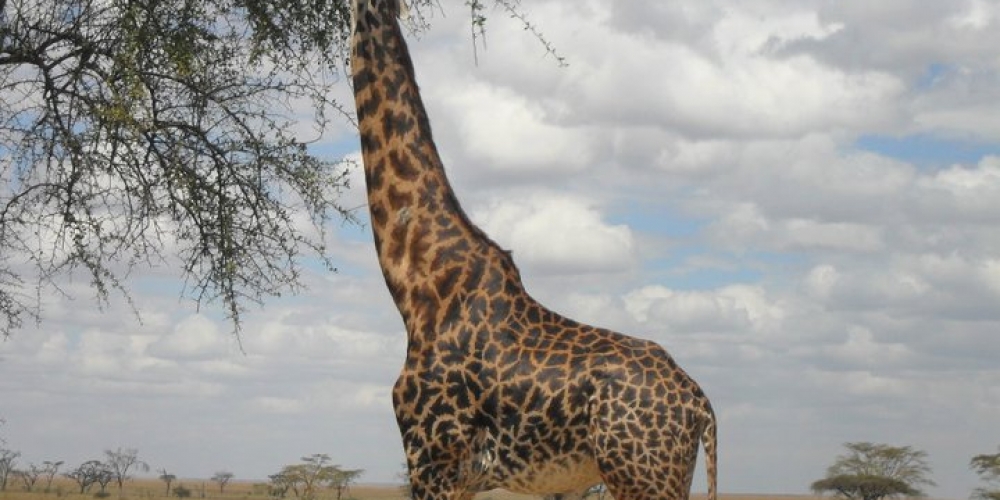 Arusha National Park