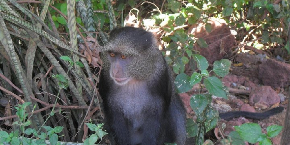 lake manyara