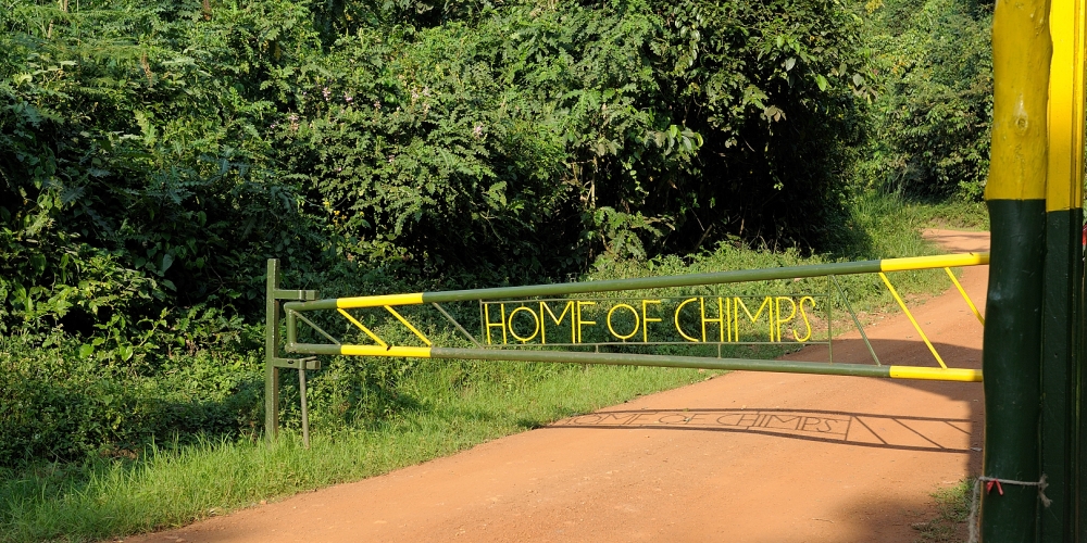 Kibale Forest National Park