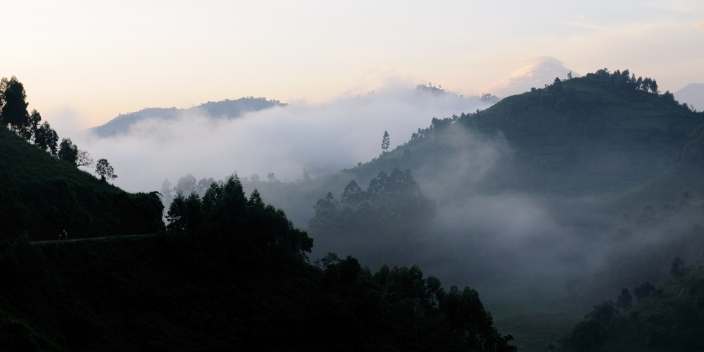 Bwindi Impenetrable National Park