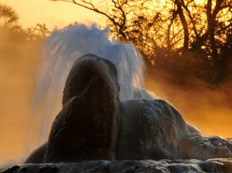 A hotspring in Semuliki N.P