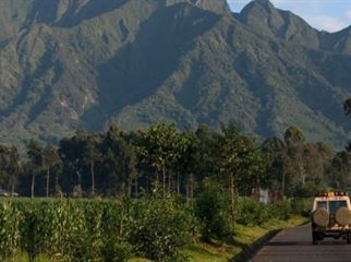 Volcanoes National Park Rwanda