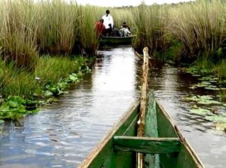 Mabamba Swamp