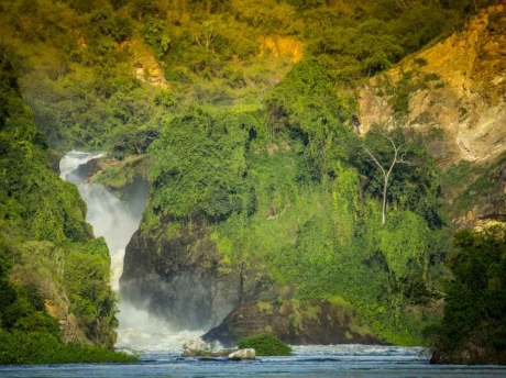 Sport Fishing in Murchison Falls National Park