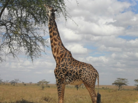 Arusha National Park