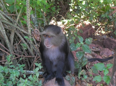 lake manyara