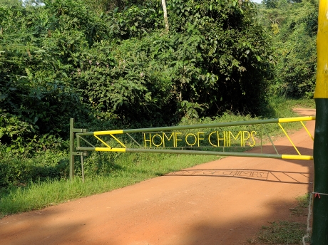 Kibale Forest National Park