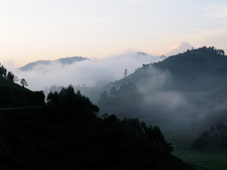 Bwindi Impenetrable National Park